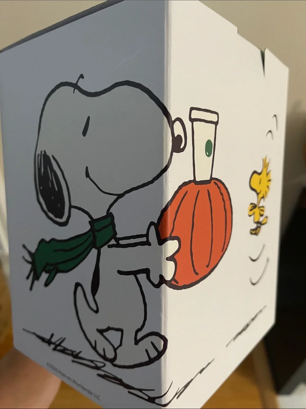 2026 Starbucks x Peanuts Snoopy Plush Green Apron — 100% AUTHENTIC — SHIPS TODAY